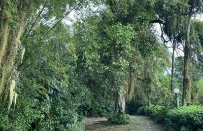 Piaça House - Piaçaguera -Pr - Foto 40