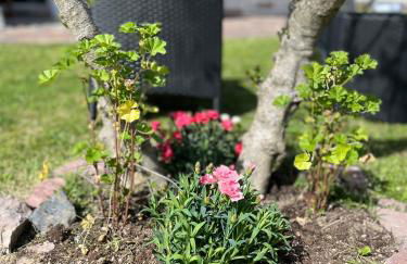 CASA MIA MALVA - Photo 45