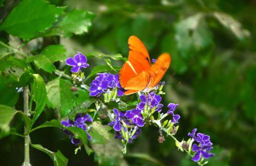 Cueva El Cortijo Gachas - Photo 85