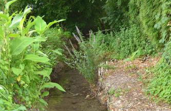 Manoir Le Bourg, Touffailles - Foto 23