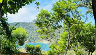 Apartment Monte Rosa - Foto 5, Garden, Garden view