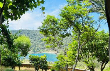 Apartment Monte Rosa - Foto 5