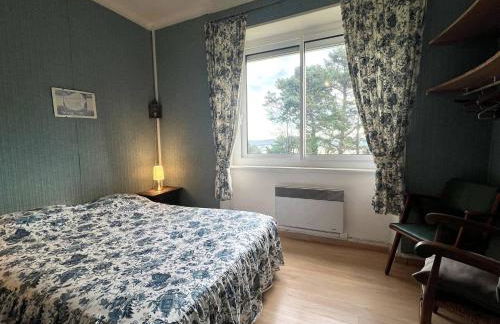 361 - Maison 8 couchages située entre le Cap Fréhel et les Sables d'or et face à la Plage de la Anse Du Croc - Foto 12