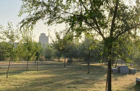 Alojamiento Museo Carmelitano Alba de Tormes - Foto 56