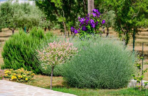 Sunny house - Foto 44