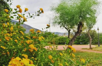 Agriturismo - "La Funicolare" - Photo 14