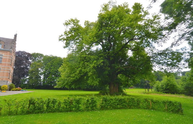 Gesves Castle Grounds Retreat - Foto 39