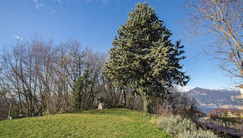 Villa Elisabetta-Tranquilla con vista lago - Foto 2, Garden