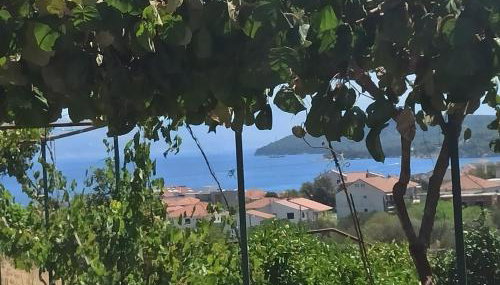 Apartmani Mislav - Photo 5