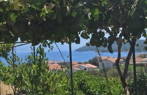 Apartmani Mislav - Photo 5