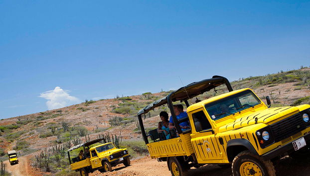 Tour in fuoristrada e piscina naturale di Aruba - Mezza Giornata - Foto 3