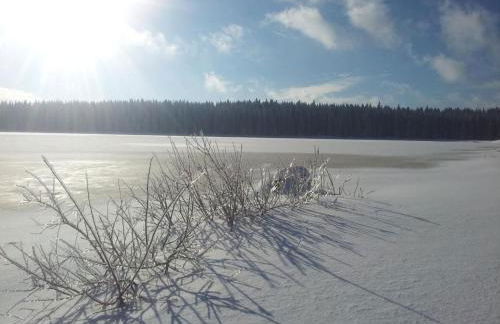 Apartment Fewo Auersberg WGH by Interhome - Foto 15