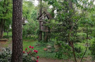 Leśny kasztel pod sosnami. Pokój w koronach drzew. - Foto 20