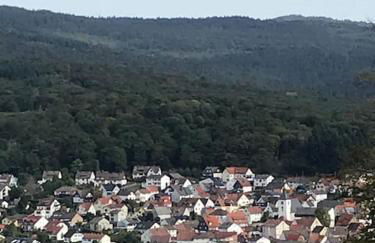 Apartment mit Wintergarten und Terrasse in ruhiger Lage im schönen Taunus - Foto 35