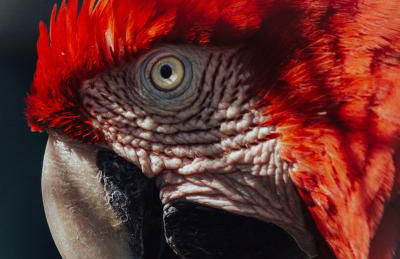 La Fattoria Delle Tartarughe - Foto 60