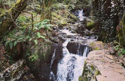 Casa do Ti Toninho - Foto 29