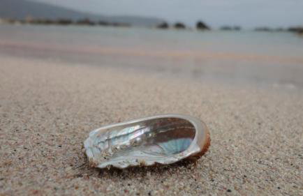 Dimitra's Sea-Crafts Boutique Studios - Photo 50