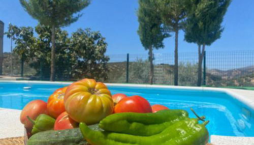 Cortijo El Nevazo - Foto 5