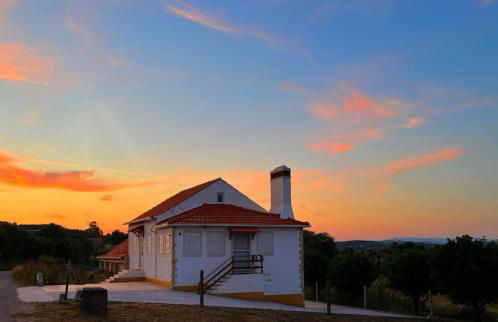 Casa dos pássaros - Foto 7