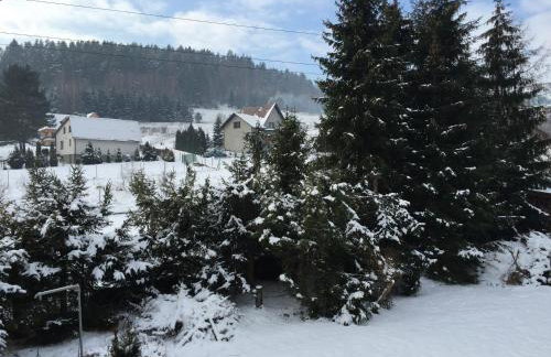 Willa Brzozówka - Photo 31