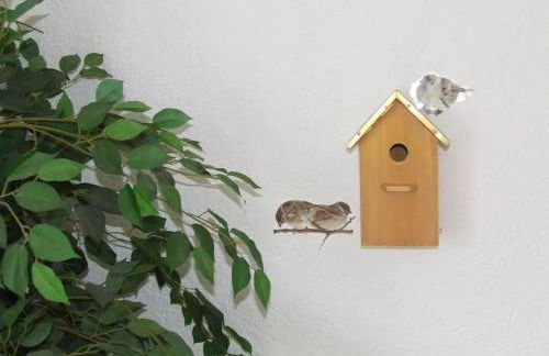 Ferienwohnung Birkenwäldchen - Foto 24