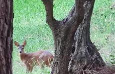 Stunning Country House overlooking Tuscany hills - Foto 2