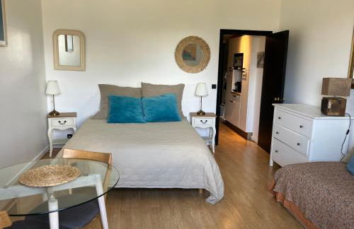 Studio phare de Biarritz Résidence Régina Golf - Foto 11