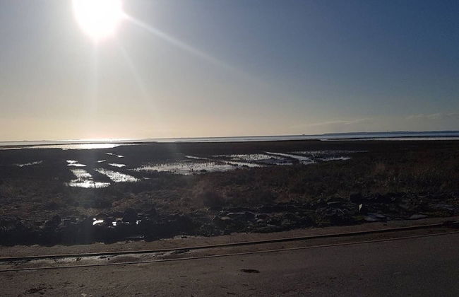 Gemuetliches, Exklusives Ferienhaus in Dagebuell - Foto 33