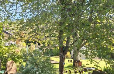 Ferienwohnung bei Tanja und Marcus - Foto 14