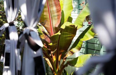 Luxe Victorian Retreat • Walk to Downtown - Foto 32