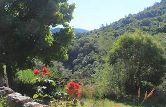 L'abri cévenol - Foto 12