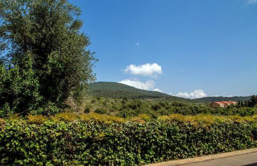 Valle Del Buttero - Foto 16