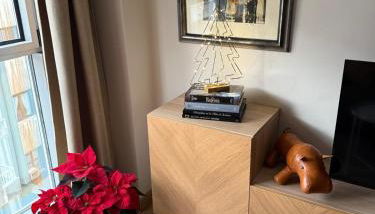 El loft de Berta - VUT 6221 AS - Foto 3