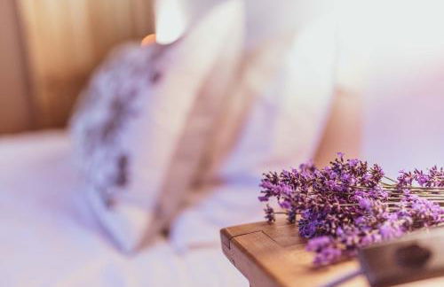 Maison Amalka - Photo 55