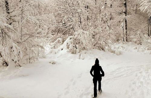 Au Repos du Fayé - Foto 22