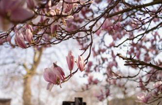 Chelsea flat, convenient and quiet - Foto 19