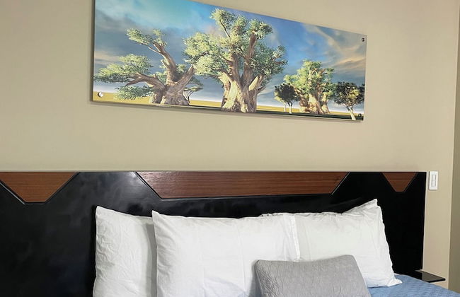 Amoblados Ivanna ApartaHotel - Laureles Estadio - Photo 14