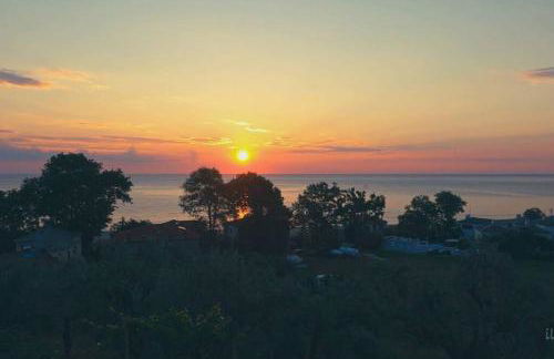 Olivia's Guest House - Foto 5