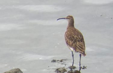 Chalet en enclave privilegiado - Foto 29