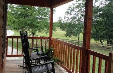 Romantic Cabin w Hot Tub Near Carbondale - Foto 4