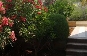 Apartments Romana - Photo 12