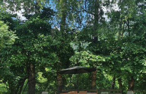 AL 33 la tua oasi di pace - Foto 21