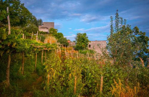 Agriturismo Mare e Monti - Foto 146