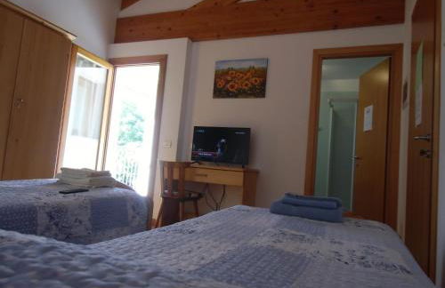 Agriturismo il Podere Vedelago con San Bernardo, Alpaca e una Pentola di cose da scoprire - Foto 4