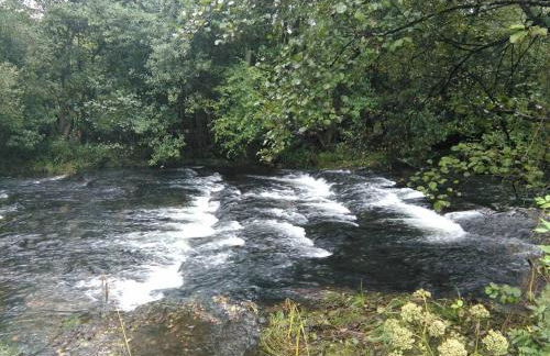 Cantabria, amplio piso .Se admiten mascotas - Foto 19
