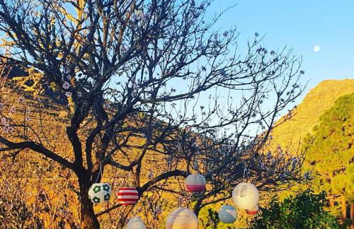 Tenerife Nature Retreat - Foto 15