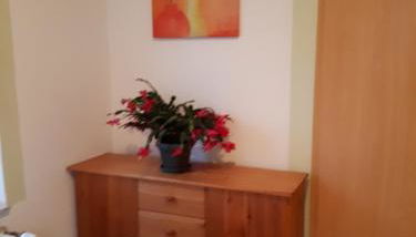 Helmut Marx - Foto 3