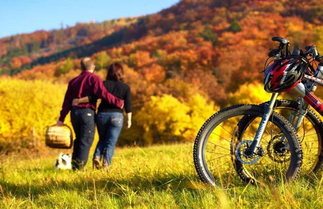 Apartment in Veldenz With Balcony - Foto 26