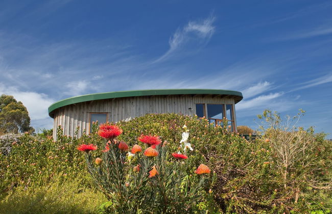 The Boomerangs - Foto 40