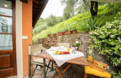 Casetta di Butia, Ginestra apartment with swimming pool - Foto 20